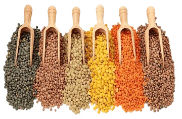 Daal & Beans